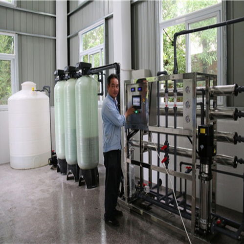 巢湖2吨二级反渗透纯水机 计算机科技中的河水净化与离子去除解决方案